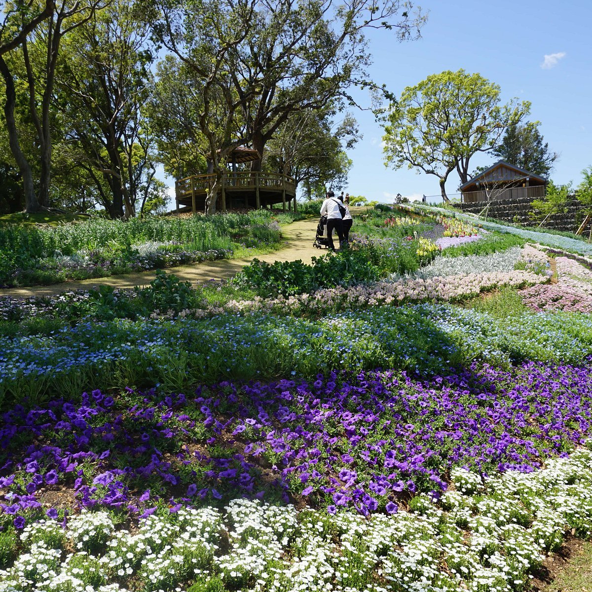 🌿 마키노 토미타로 기념관 본관(마키노 토미타로 키넨칸 혼칸) 이미지 8